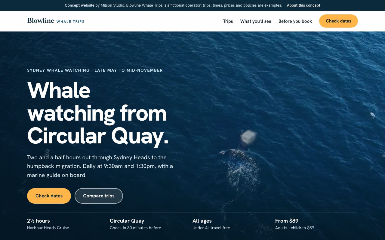 First screen of the Blowline Whale Trips concept website: the headline 'Whale watching from Circular Quay', trip times, a Check dates button and key trip facts.